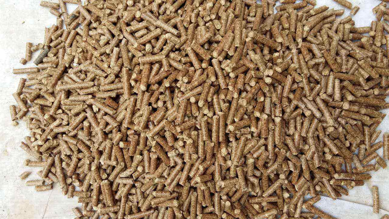 生物質(zhì)導(dǎo)熱油爐的原理跟應(yīng)用你知道多少？